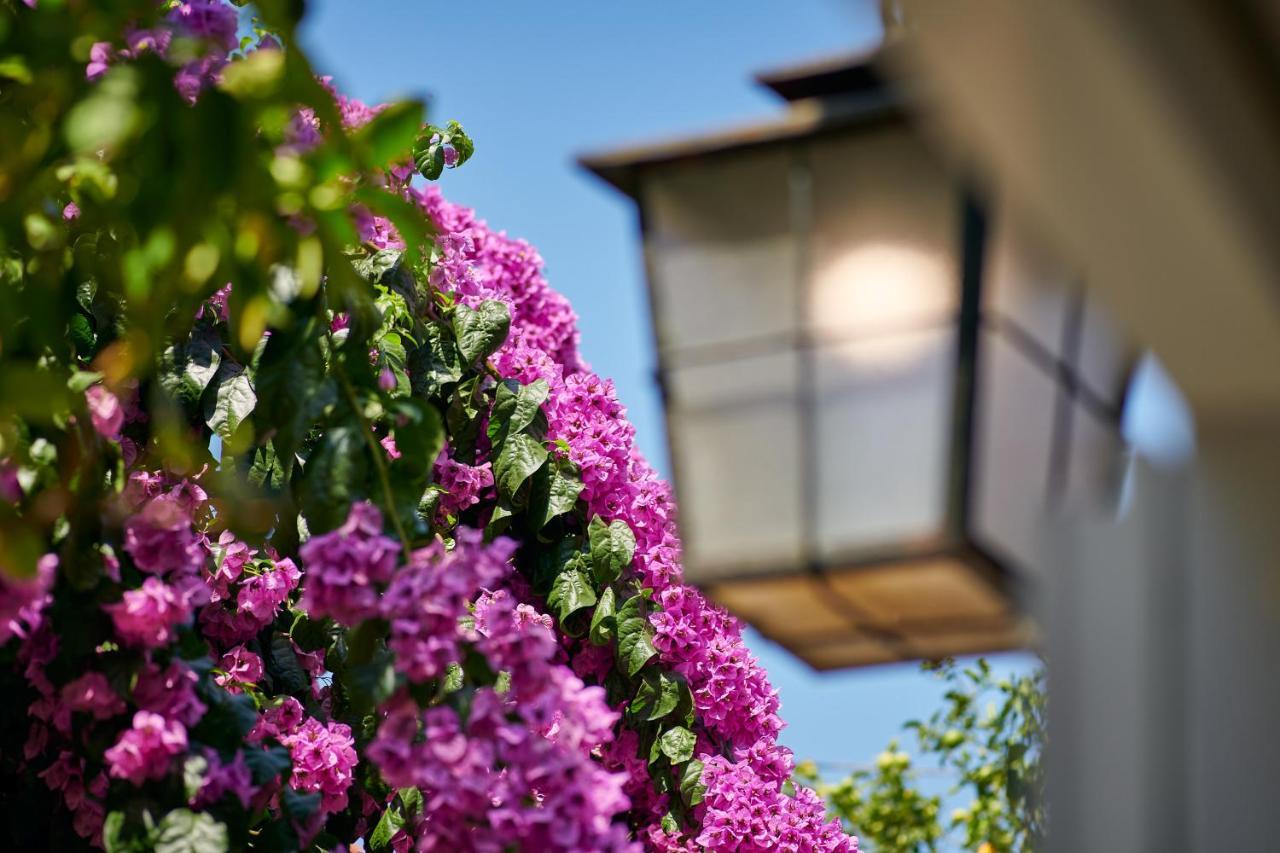 Villa Magnolia Cavtat Exterior photo